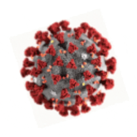 Coronavirus, come e quando finirà in Italia Coronavirus, come e quando finirà in Italia