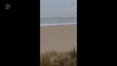 La nave “volante” sul mare della Nuova Zelanda