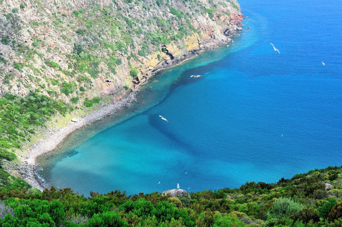 Capraia, quest’anno sarà l’isola senza estate
