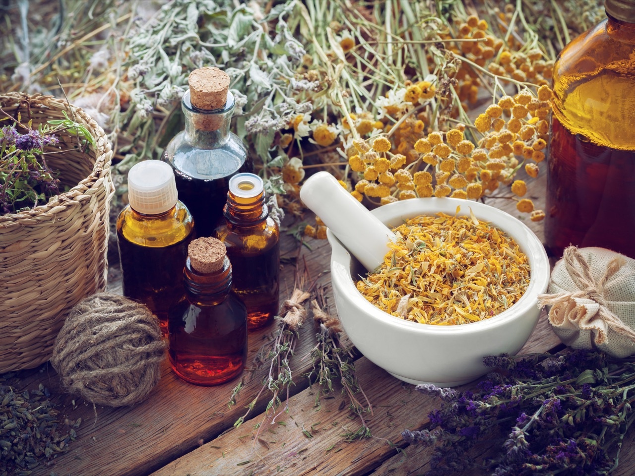 La fitoterapia contro il Coronavirus La fitoterapia contro il Coronavirus