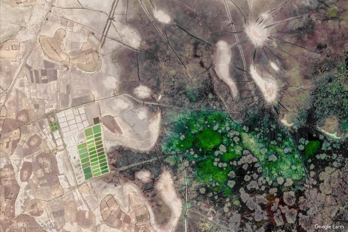 Google Earth Day: la nostra Terra vista dall’alto