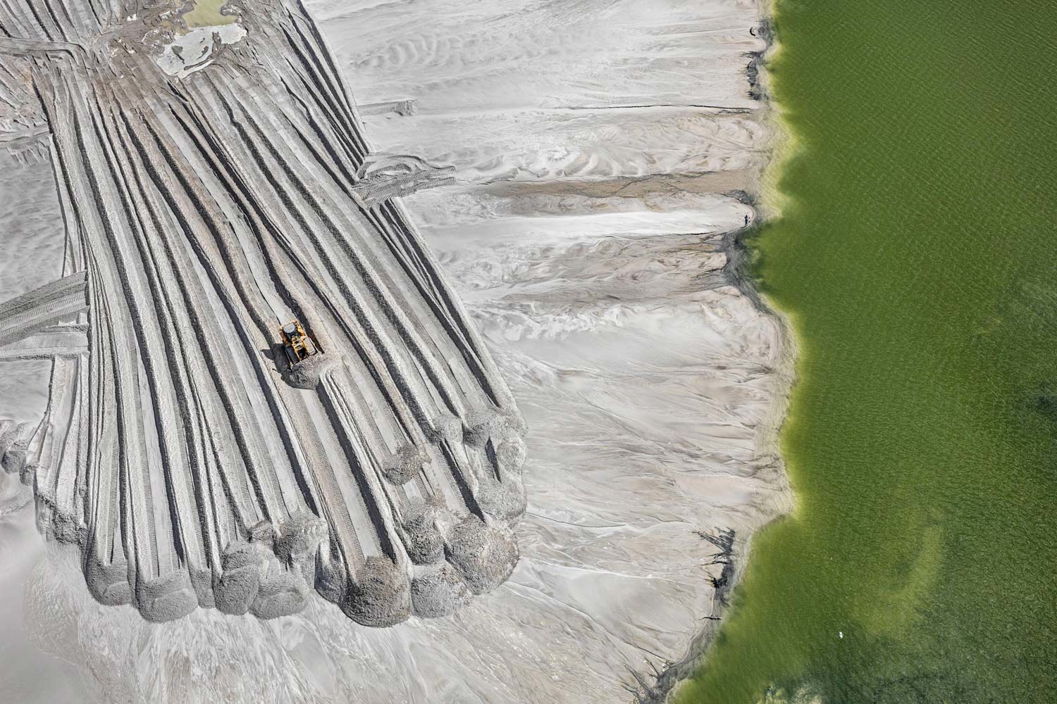 Giornata della Terra: 5 film sull’ambiente da vedere Giornata della Terra: 5 film sull’ambiente da vedere