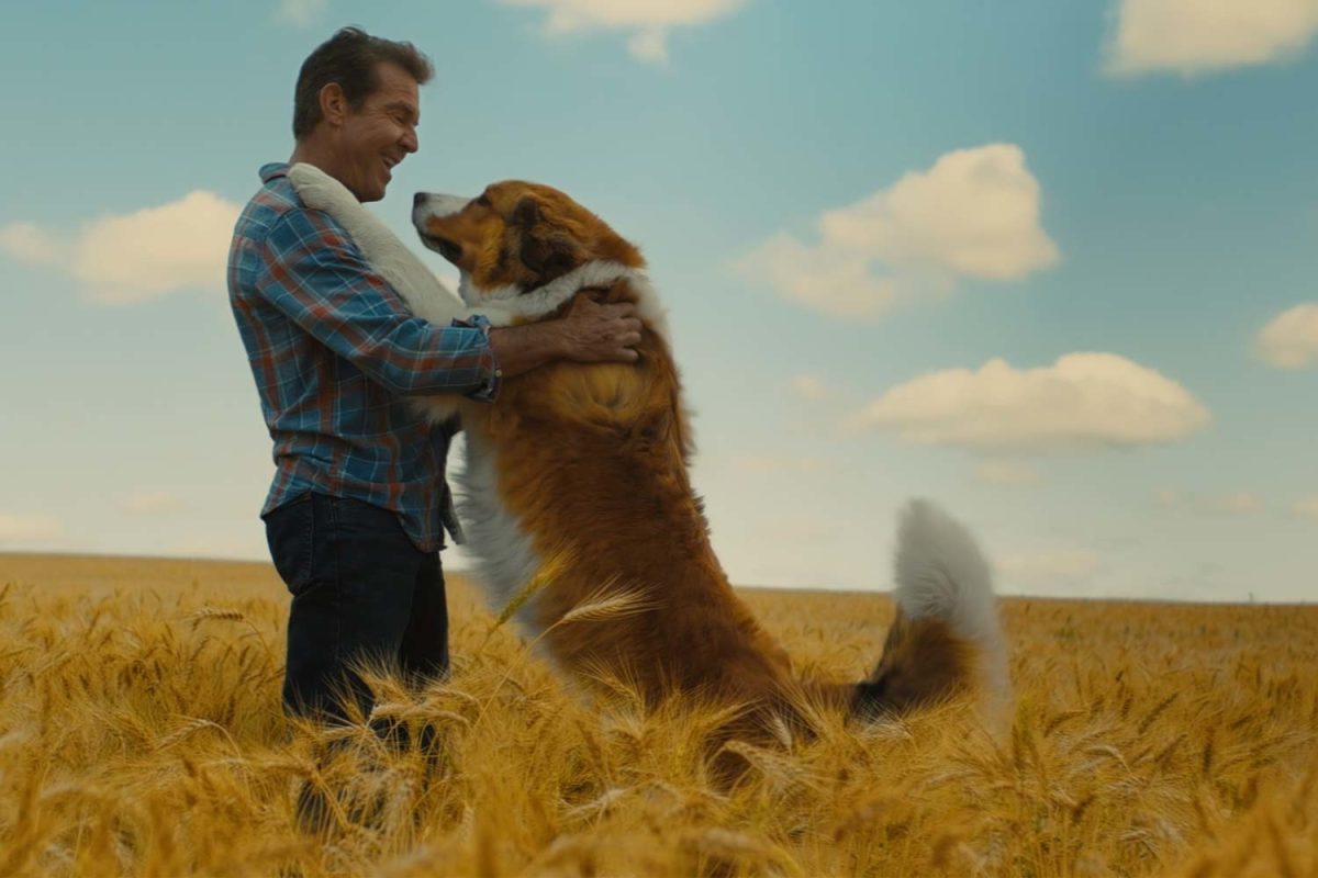 Galleria foto 'Da Bombshell ad Artemis Fowl, i film che saltano la sala ed escono direttamente in streaming' - foto 7