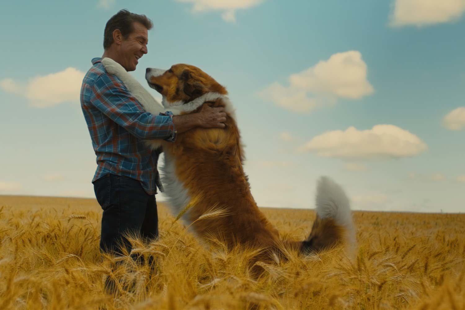 Da Bombshell ad Artemis Fowl, i film che saltano la sala ed escono direttamente in streaming