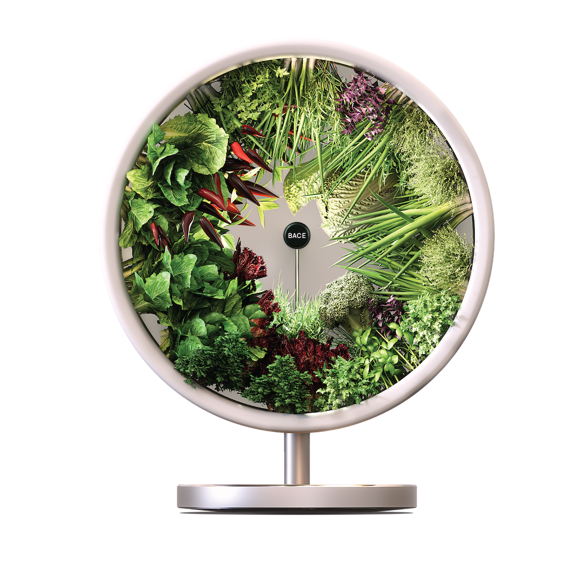 Orto in casa, avere la propria frutta e verdura