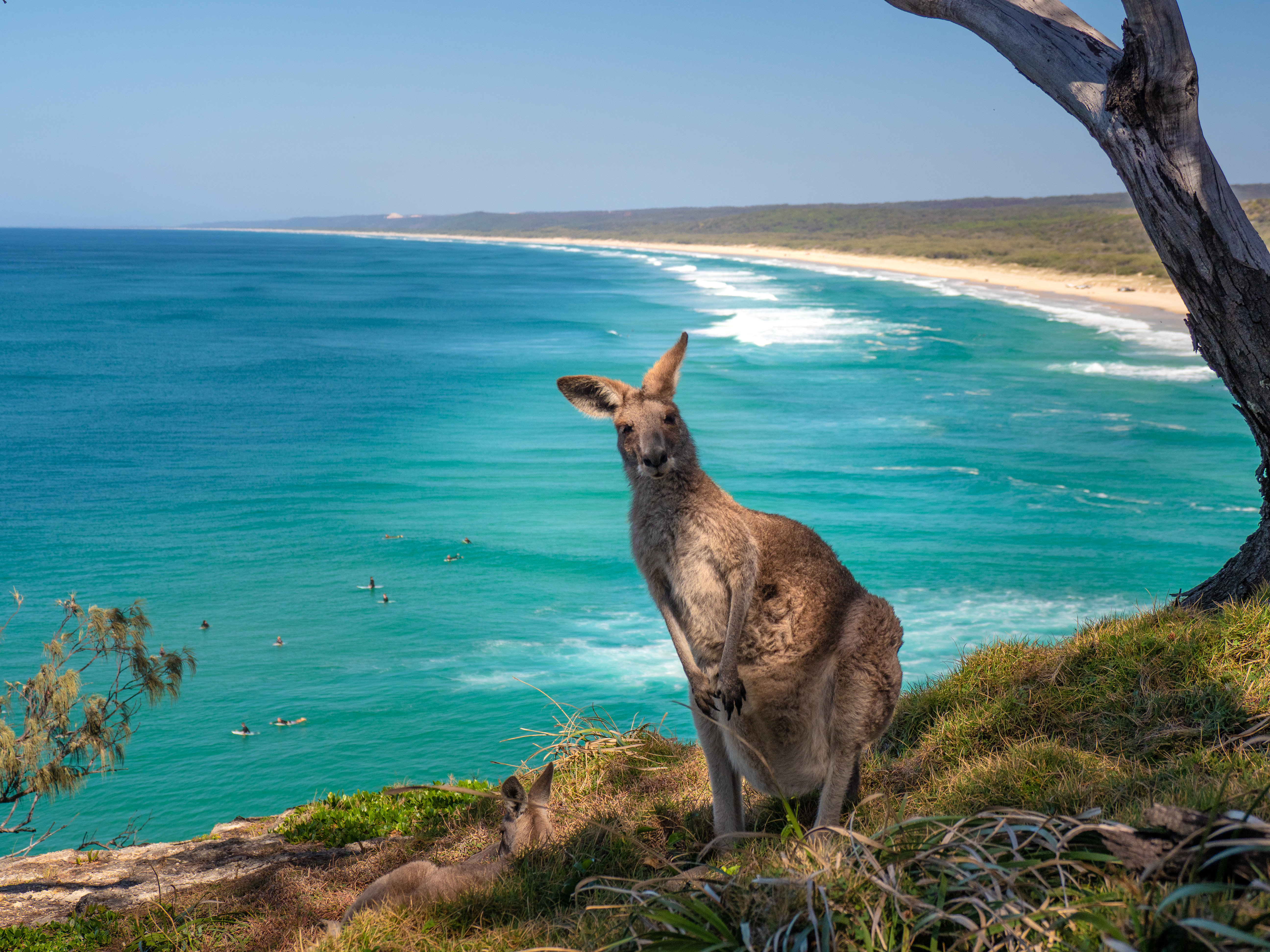 Viaggiare in Australia guardando le sue serie tv Viaggiare in Australia guardando le sue serie tv
