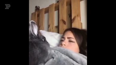 Chi sta imitando chi?