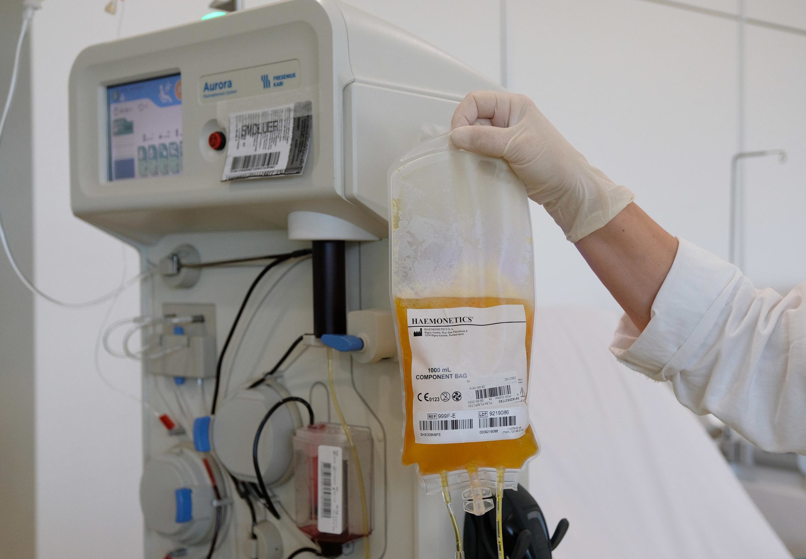 Avis: errori e verità sulla cura con il plasma per il Covid-19