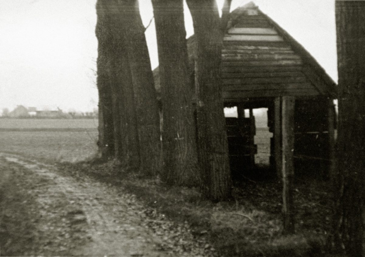 Galleria foto 'Dunkerque: ottant’anni fa la battaglia. Storia e foto' - foto 8