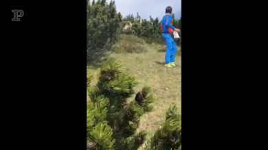 L’orso spunta dai cespugli, ma il bimbo rimane calmo e lo evita