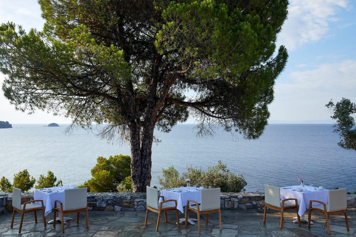 Galleria foto 'Dall’1 luglio l’hotel Elivi riapre al turismo senza paura del Covid-19' - foto 10