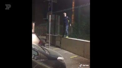 Il cinghiale a passeggio per la città blocca due uomini muretto?