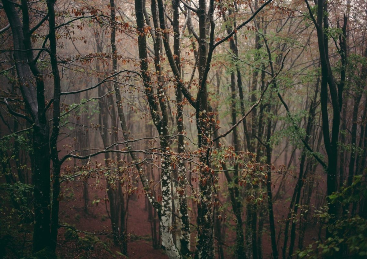 Il Mondo non si è fermato mai un momento: una mostra delivery