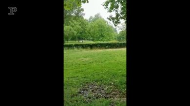 Riaperto il parco di Monza