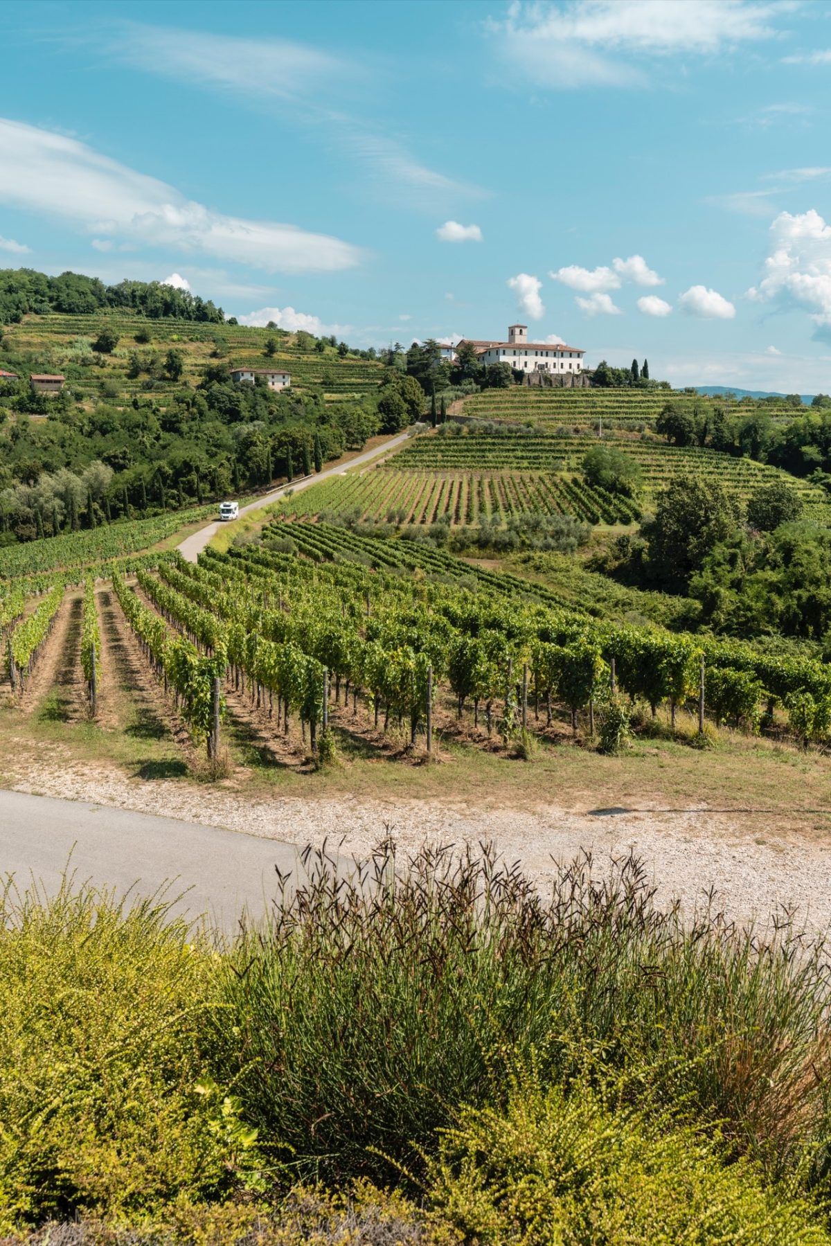 Galleria foto 'Friuli Venezia Giulia si prepara ad una estate 2020 a misura di distanziamento sociale' - foto 2