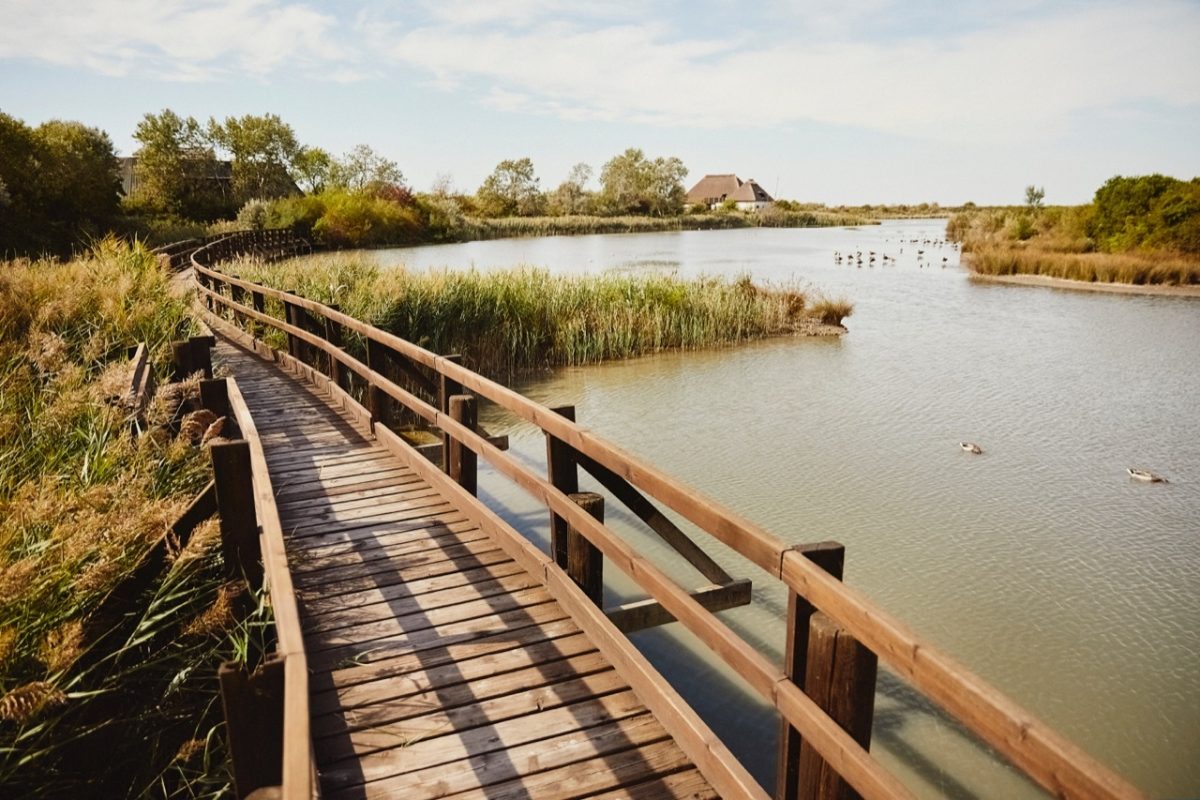 Galleria foto 'Friuli Venezia Giulia si prepara ad una estate 2020 a misura di distanziamento sociale' - foto 10