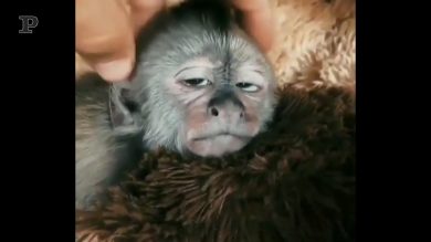 Quei giorni in cui hai solo bisogno di un massaggio relax