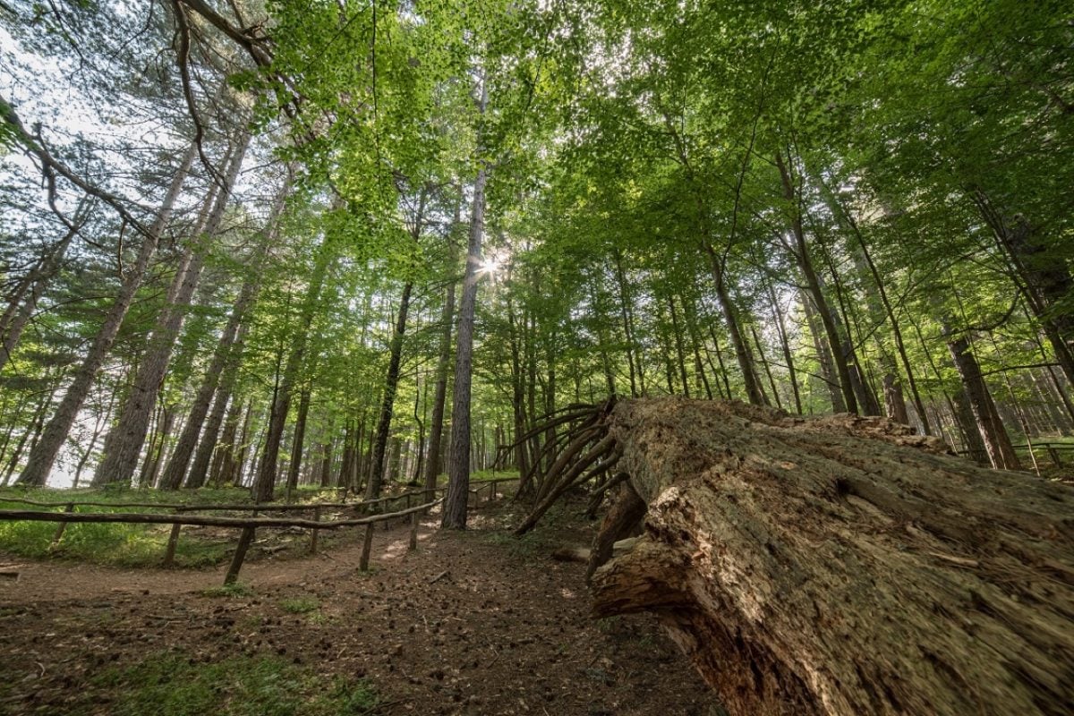 I Beni FAI che riapriranno a fine maggio