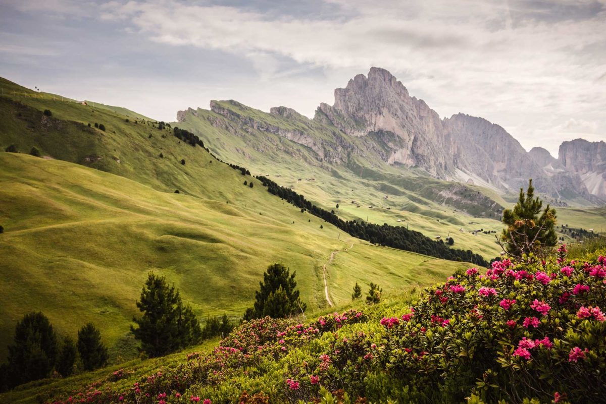 Galleria foto 'Estate 2020, se la montagna piace più del mare' - foto 5