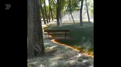 La bruciatura del polline in Spagna, le immagini spettacolari