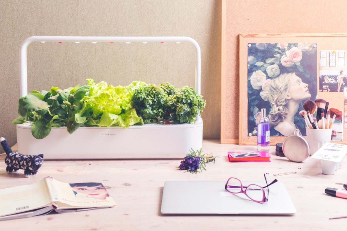 Galleria foto 'Smart working, dieci oggetti (più uno) per lavorare meglio da casa' - foto 5