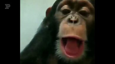 Quando il selfie proprio non ti riesce bene