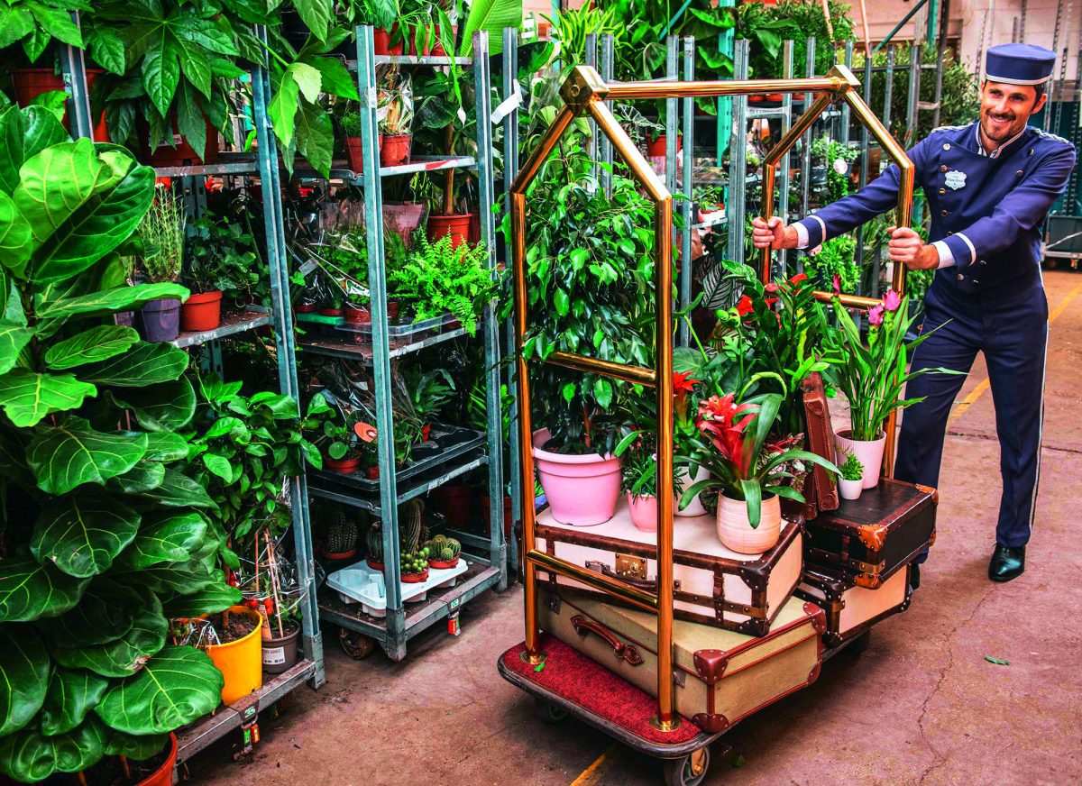 Galleria foto 'Vacanze alternative: #iorestointerrazzo' - foto 5