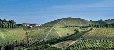 Non chiamatele cantine