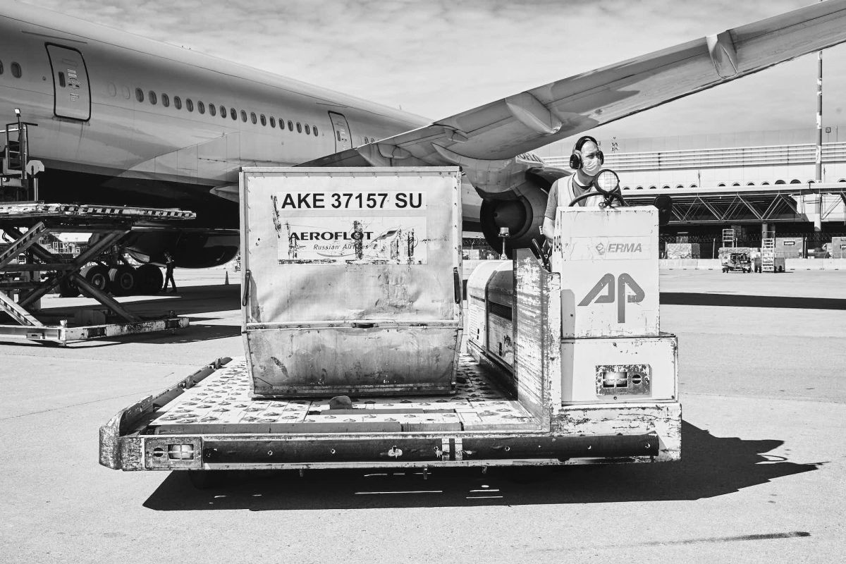 Galleria foto 'Il lungo percorso delle mascherine che arrivano in Italia senza la certificazione' - foto 18