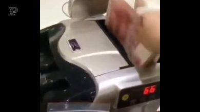 Il gatto ruba la banconota e scappa