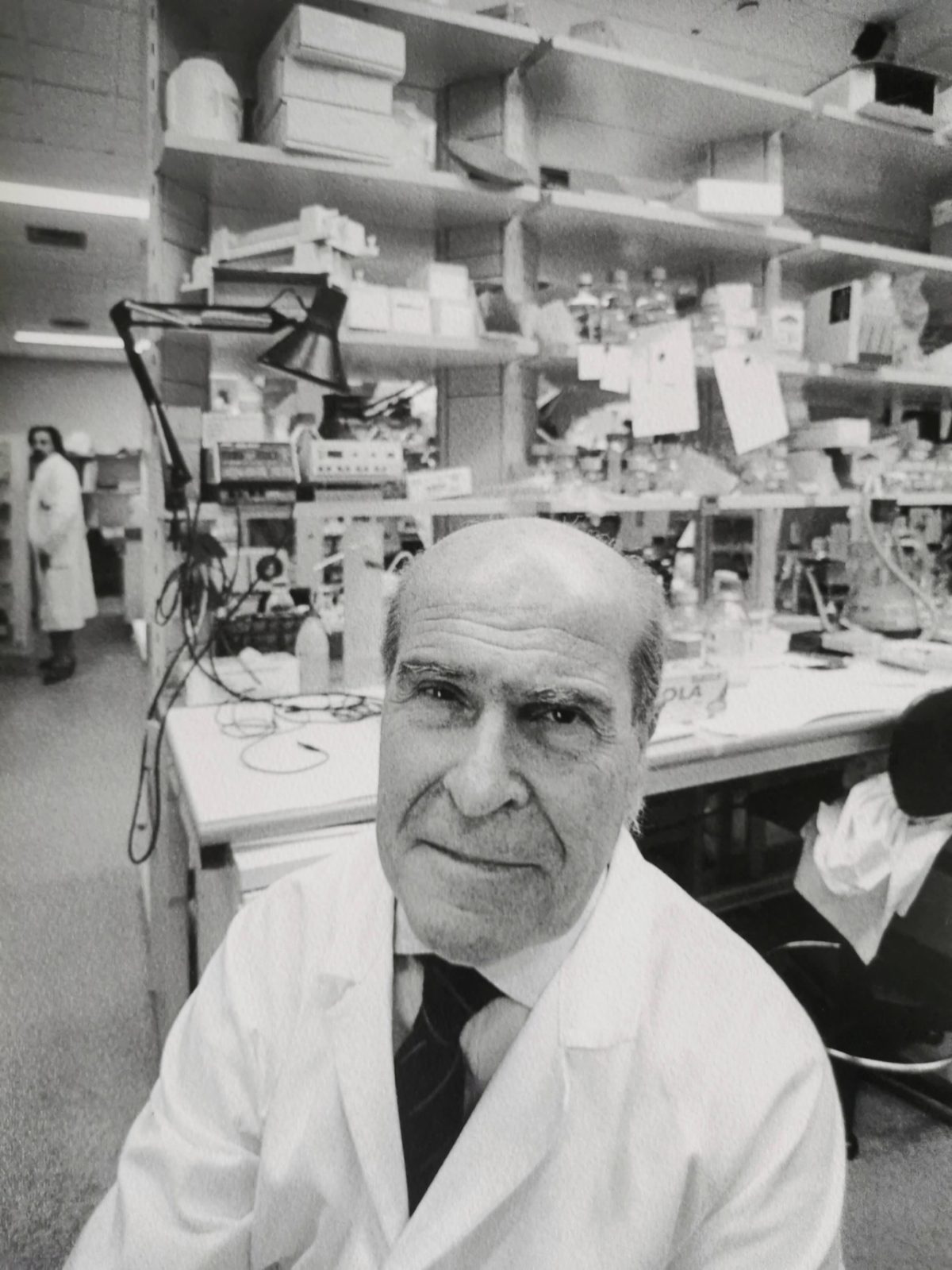 Galleria foto 'Milano, storie di «Città»' - foto 12