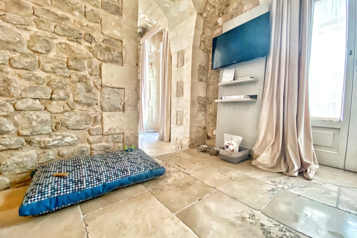 Galleria foto 'Vacanze a 4 zampe. Che lusso la vita da cani in hotel' - foto 7