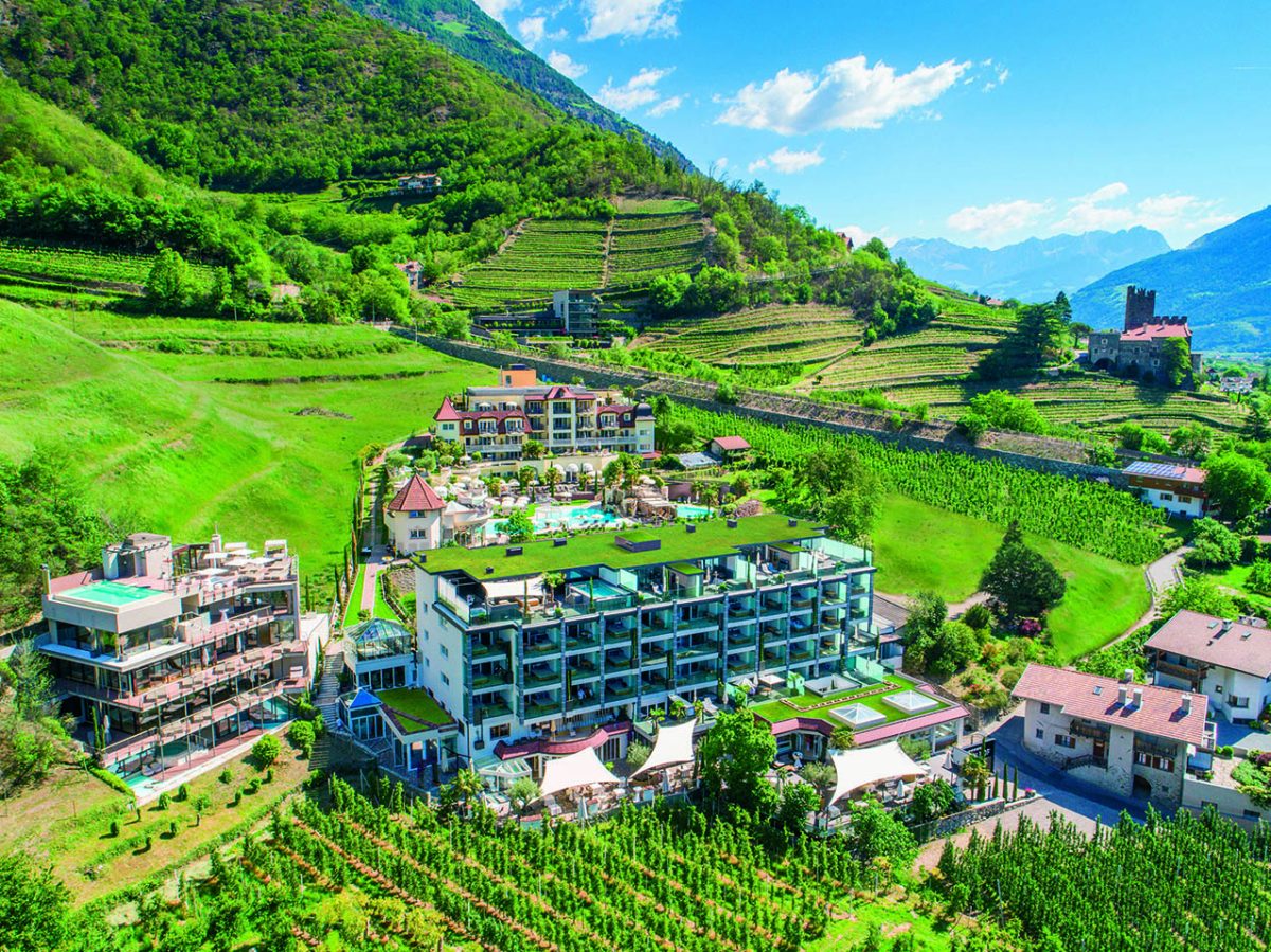 Galleria foto 'Cos’è il “forest bathing” e dove farlo, in Italia ed in Europa' - foto 8