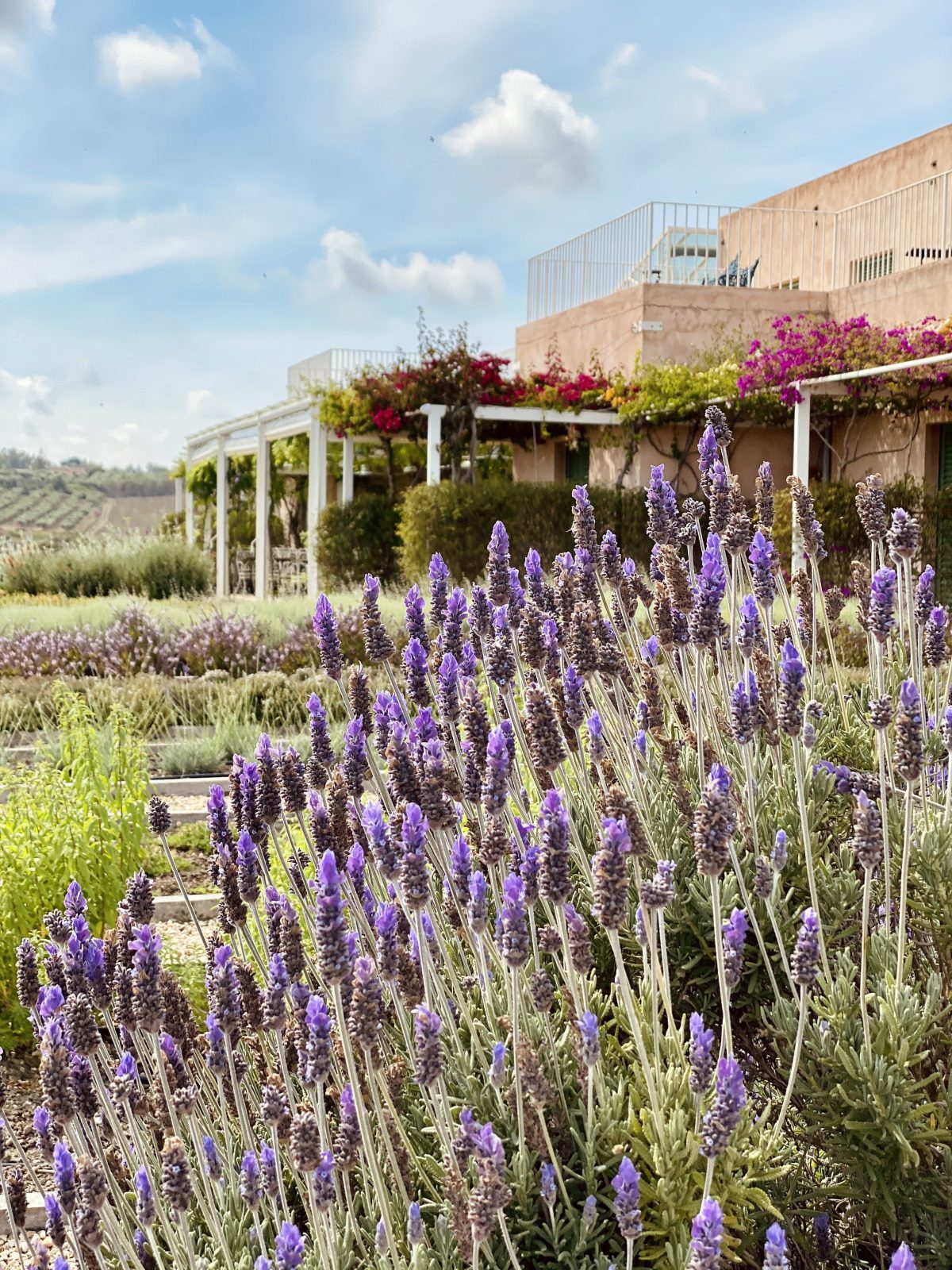 Galleria foto 'Le migliori cantine d’Italia dove soggiornare' - foto 4
