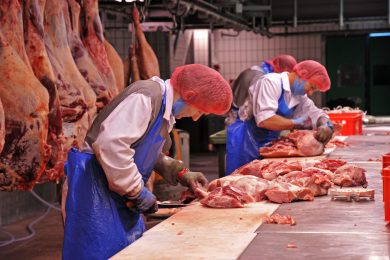 I mattatoi tedeschi e l’export del coronavirus