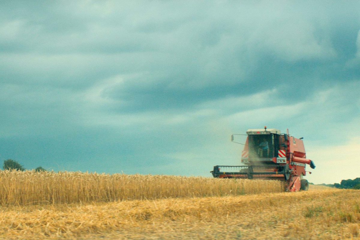 Galleria foto 'Il cinema torna in sala: ecco i film in uscita' - foto 4
