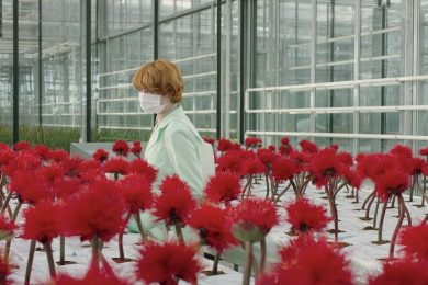 Il cinema torna in sala: ecco i film in uscita