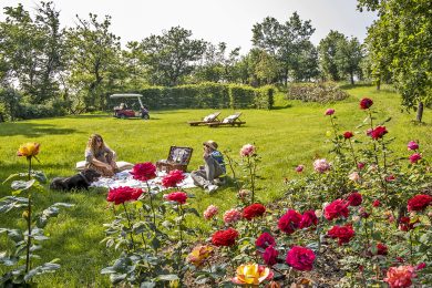 Il gusto ritrovato per il picnic