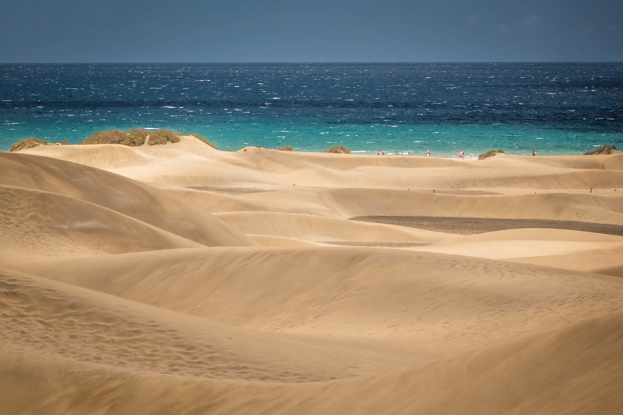 Alle Canarie una polizza di viaggio gratuita per tutti i turisti Alle Canarie una polizza di viaggio gratuita per tutti i turisti