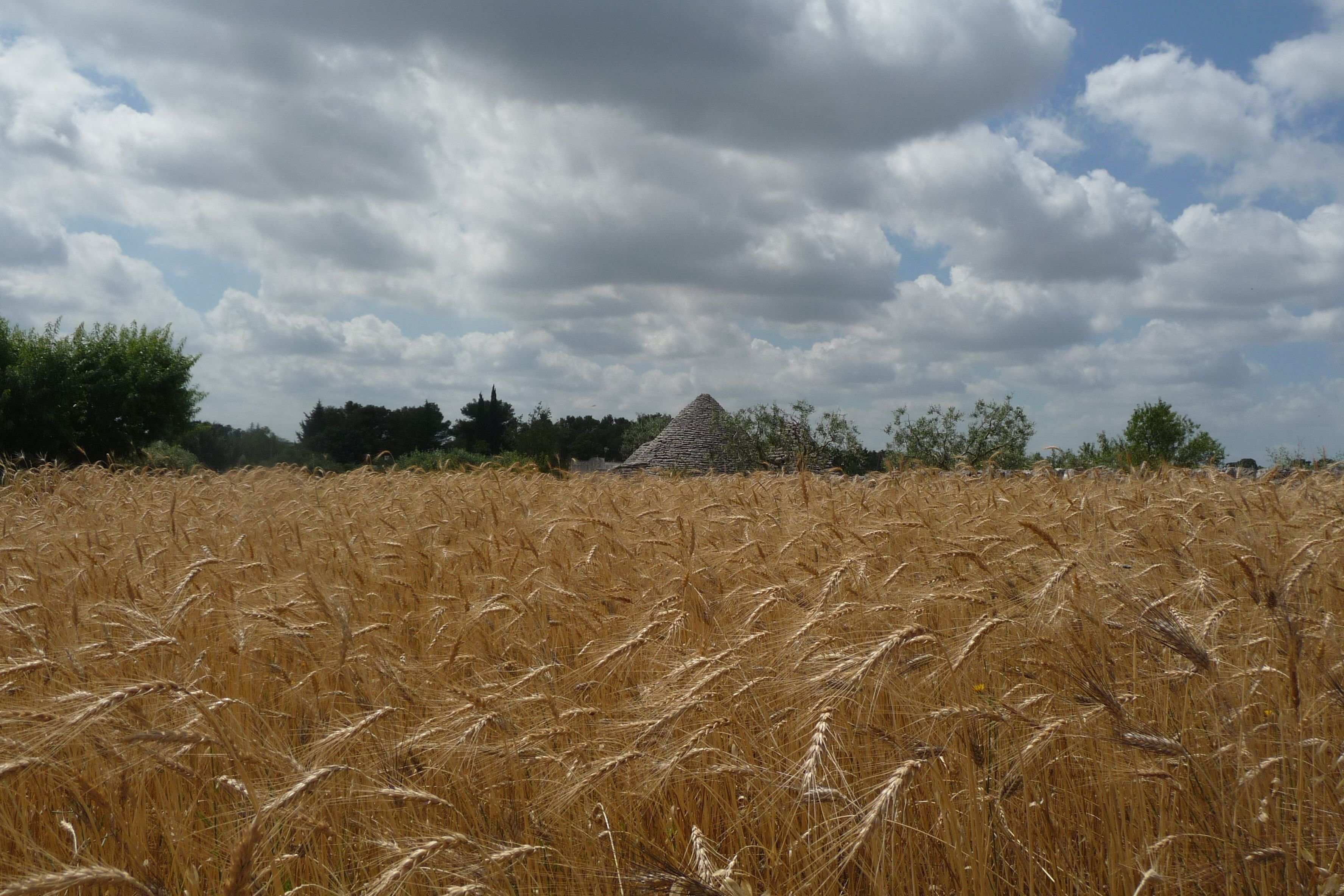 Da Martina Franca a Cisternino, la Puglia si accende con il «Festival dei sensi»