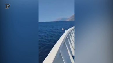 Bimba in mezzo al mare sull’unicorno gonfiabile: salvata da un traghetto