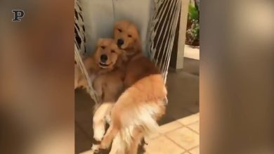 Relax sul dondolo in coppia