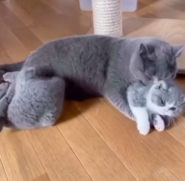 Un buongiorno davvero speciale