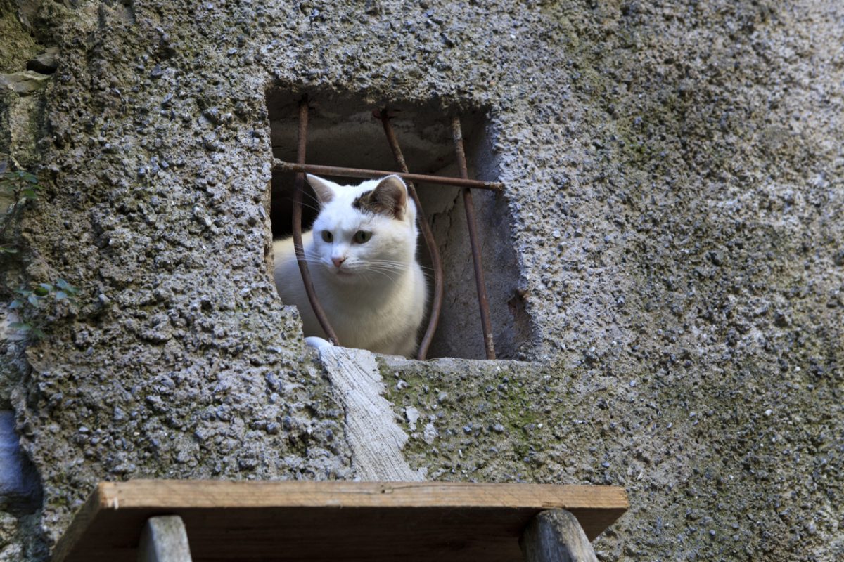 Galleria foto 'Alla scoperta dei luoghi più strani al mondo' - foto 21