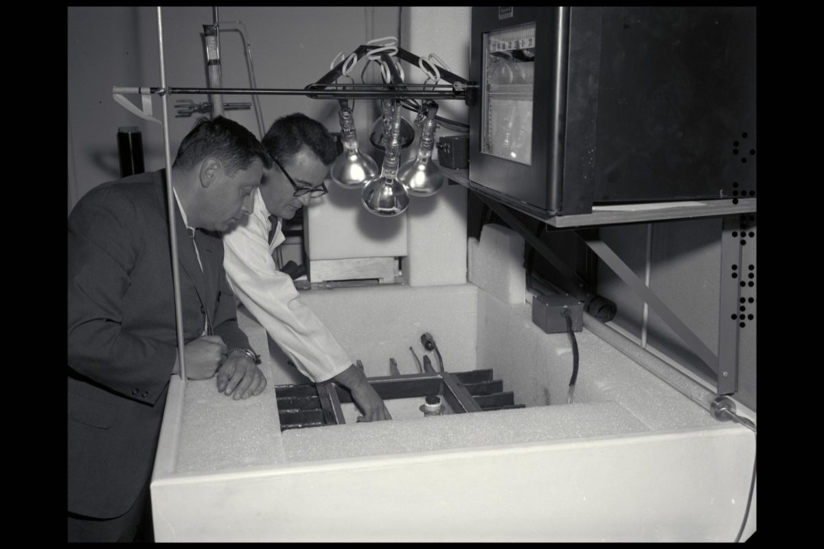 Galleria foto 'A 45 anni dalla prima sonda tutto il mondo corre su Marte' - foto 12