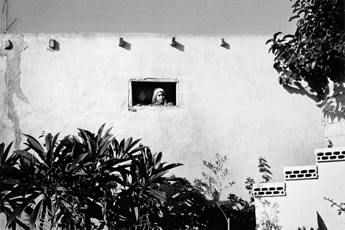 Galleria foto 'Biennale donna: al via a Ferrara la XVIIIesima edizione' - foto 4