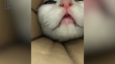 Quando provi a prendere l’ultima patatina rimasta nel tubo…