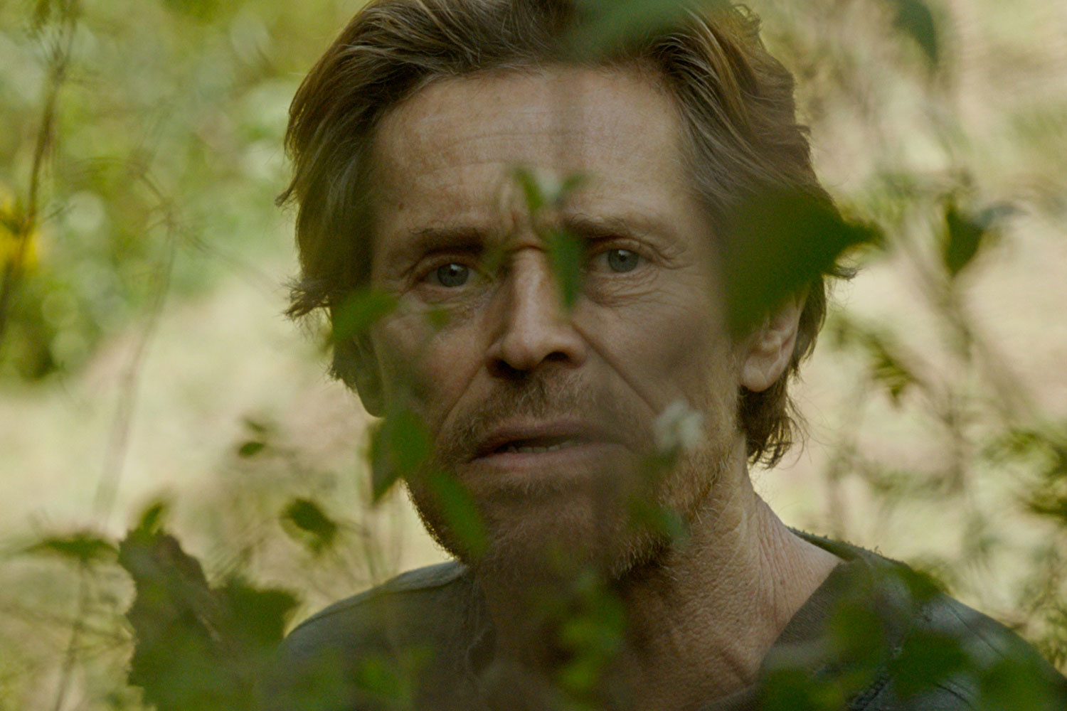 I film in uscita al cinema ad agosto 2020 I film in uscita al cinema ad agosto 2020