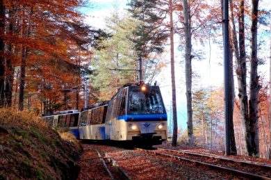 L’autunno dal finestrino di un treno