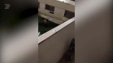 Alluvione a Nettuno, alberi sradicati e strade sommerse​ dall’acqua | video